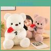 Popular Cartoon Style Teddy Bear Stuffed Animal Plush Doll Wholesale Supplier