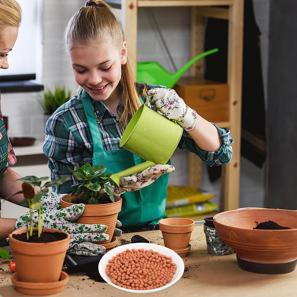 HANABASS Hydroball Aquarium Culture Ball for Hydroponic Cultivation (L+S)