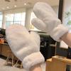 Women's Thick, Warm Fleece-Lined Winter Gloves - Cute, Solid Color, Faux Rabbit Fur Mittens, Ideal for Students & DIY.