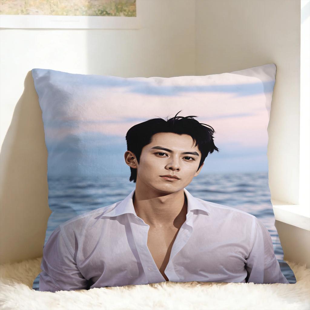 Wang Hedi Dylan Wang Actor Pillowcases Vintage Pillow Case For Sofa Home Decoration Design Pillow Cover