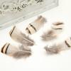50Pcsdiy Jewelry Accessories Feather Diy Feather Headdress Corsage Hat Shoes Handicrafts Decorative Materials