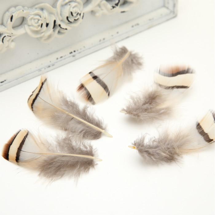50Pcsdiy Jewelry Accessories Feather Diy Feather Headdress Corsage Hat Shoes Handicrafts Decorative Materials