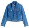 Women's Classic Trucker Denim Jacket (DW0DW21414) Blue
