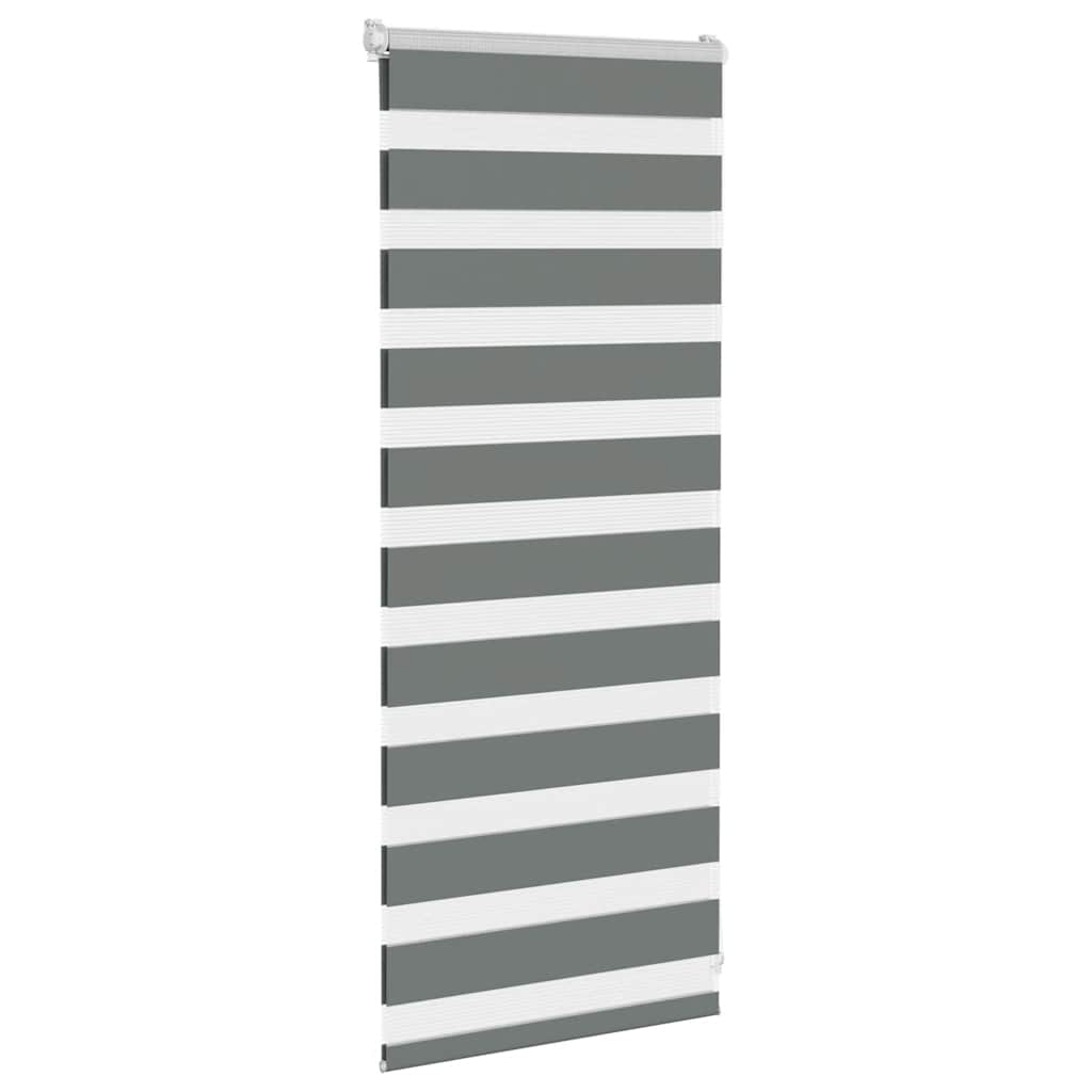 Double Zebra Blind Dark Grey 60x100 cm Fabric Width 55.9 cm Polyester