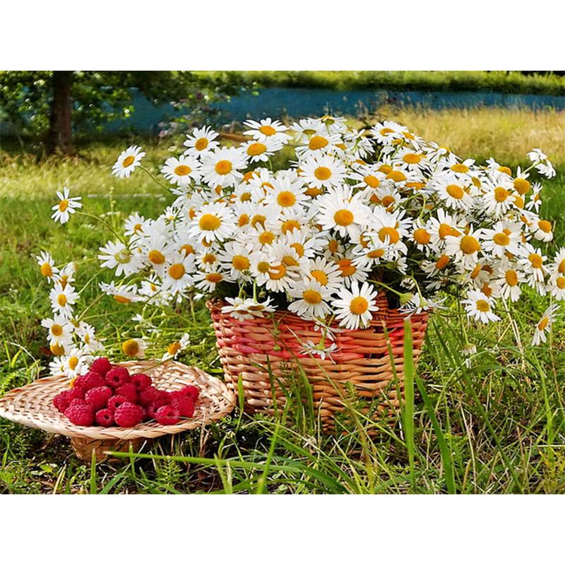 Diamond Painting Flowers Rhinestone Mosaic  Embroidery Daisy Flower Cross Stitch Mosaic Diamond Home Decoration