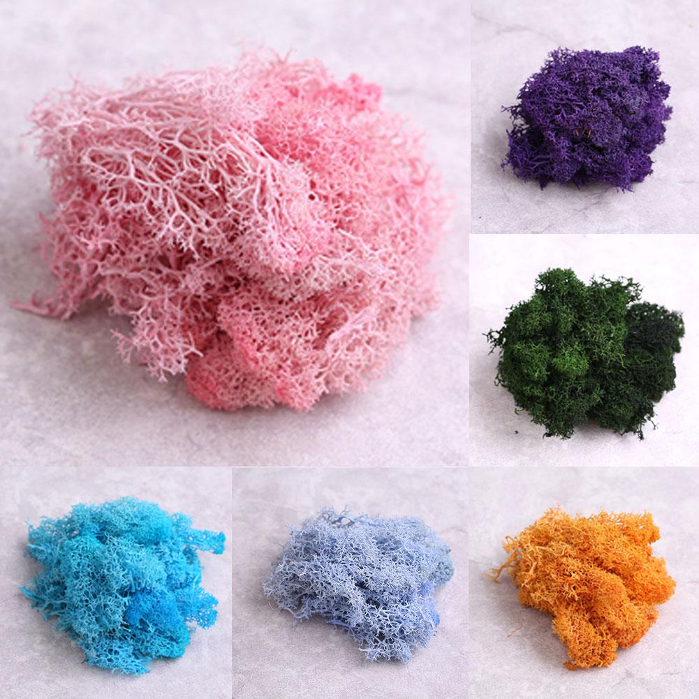 L & B Sztuczna roślina zachowany kwiat renifer mech DIY Craft Garden Home Decor