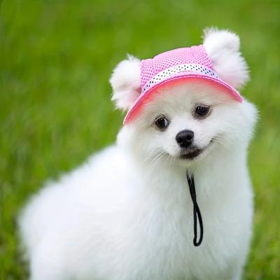 Roupa e sapatos – Chapéus para cães