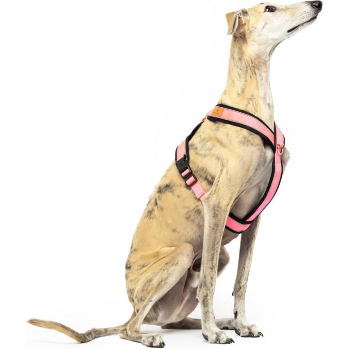 Harnais Anti-Traction - Y - Réfléchissant - Confort - Pour Chiens de Toutes Tailles