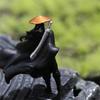 Creative Chinese Swordsman Figure Mini Cat Sculptures Model Statue Ornament  Gift