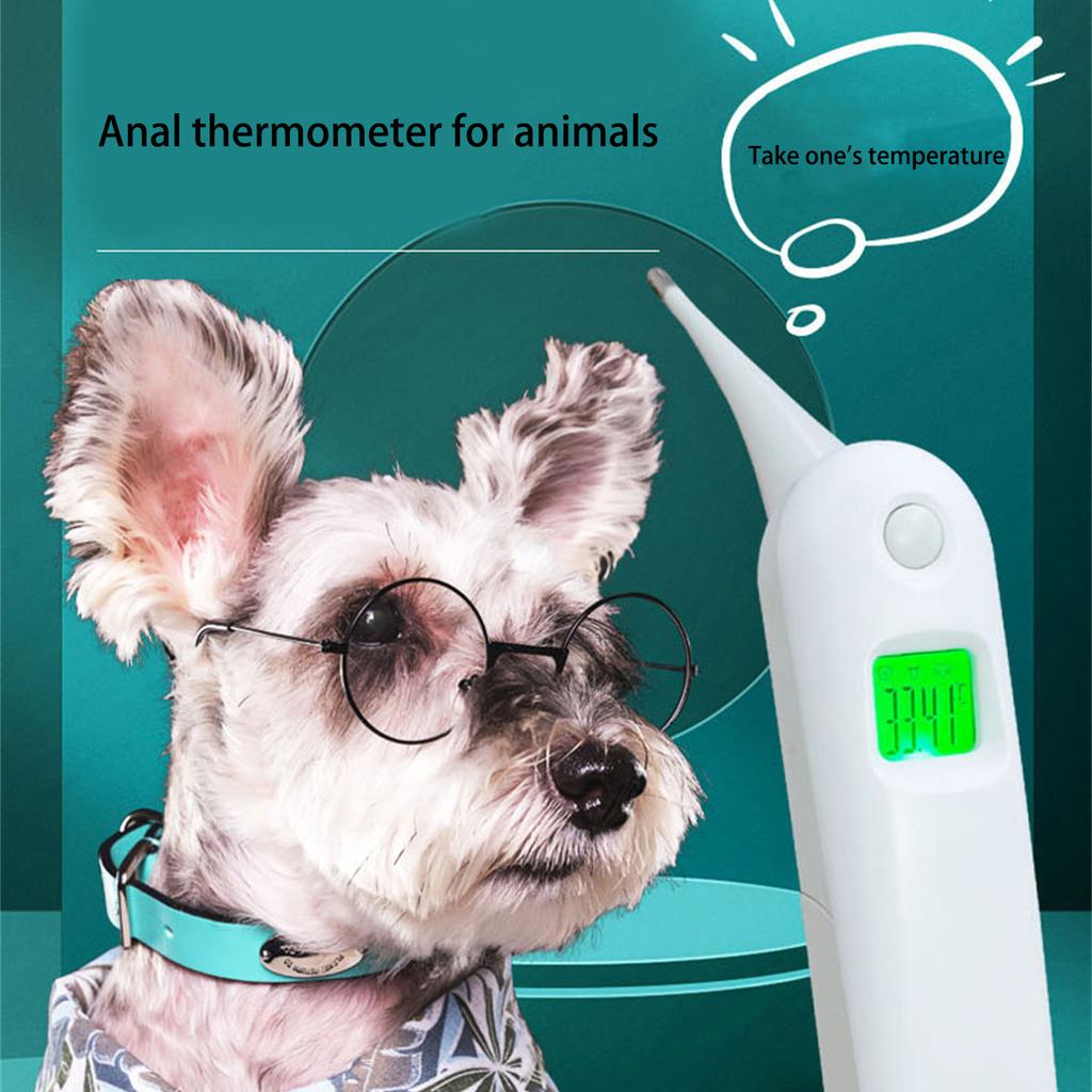 Digitales Haustierthermometer Wasserdichtes LCD-Display für Genaue Temperaturmessung bei Hunden Katzen Pferden