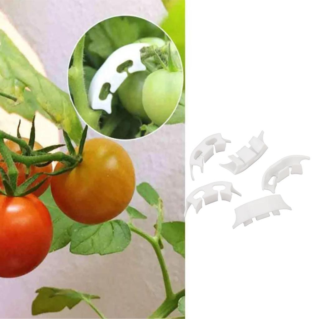 100 Pezzi Clip per Allenamento Piante a 90 Gradi Leggere Regolabili in PP Piegapiante Clip da Giardinaggio