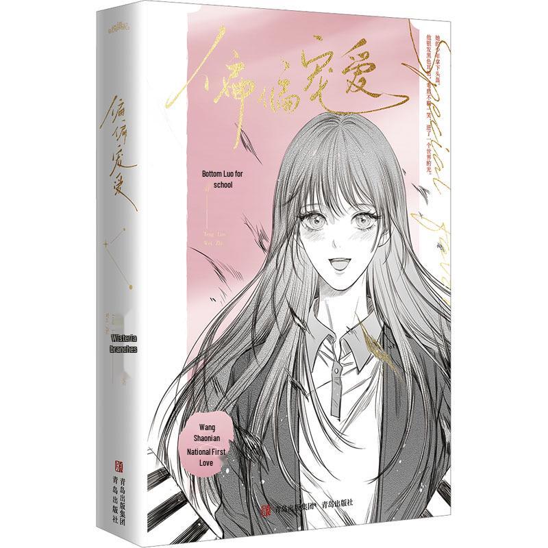 Original Romance Youth Novel: Double Male Lead