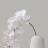 9 Head Artificial Butterfly Orchid Flower Realistic Simulation Plant  Wedding Party
