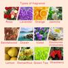 12 Bottles 3ml Fragrant Plant Water Soluble Essential Oil