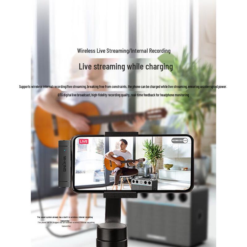 W-King T16PLUS 300W Portable KTV Bluetooth Speaker