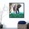 Diamond Painting Elephant Diamond Embroidery Nature Animals Pictures With Rhinestones