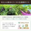 [Kumamoto Prefecture, additive-free, pesticide-free] Kumamoto Brand Certified 100% Moringa Tablets, 240 tablets (30-day supply) from Amakusa Moringa F