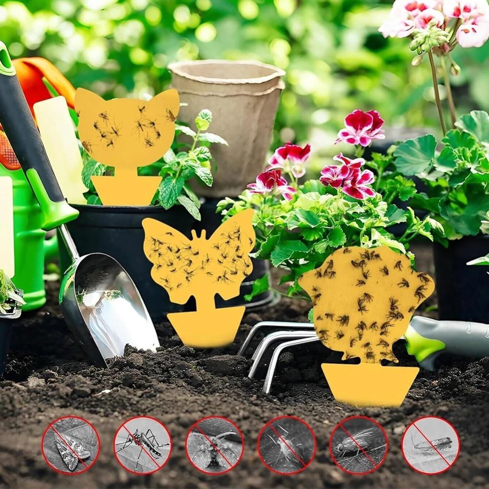 Insect Traps Protect The Plant Double Sided Gnat Traps Non-Toxic and Odorless Sticky Board Traps for Garden Plants Kitchen