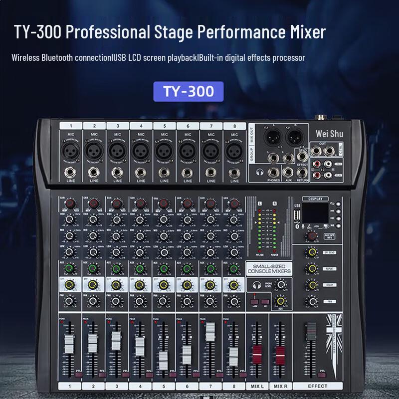 Weishu PC-610A 10-inch Conference & KTV Speaker System CN plug (adapter included)