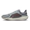 Nike Buty do biegania Air Zoom Pegasus 41 Gore Tex 'Light Pumice Ashen Slate Burgundy' FQ1356-003