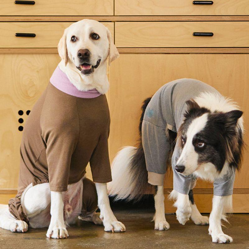 MUNIKUND Momos Easy Fit All In One - Braun