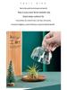 Solid Wood & Glass Mini Dessert Display Stand