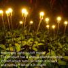 Solar Firefly Warm Light 6-head Ground Lamp 4 Packs Fireflies Ground Lights Firefly Solar Lights