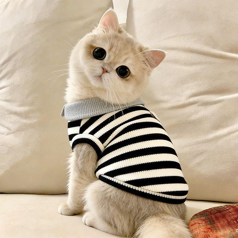 Cat clothes Elastic striped vest Anti-hair loss Muppet cat gold gradient kitten lapel T-shirt Summer cool clothes