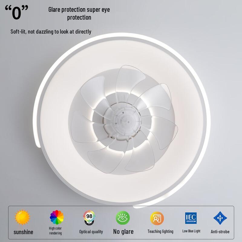 oeny Full Spectrum Bedroom Fan Light