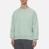 Nike Sweatshirts Men's Light Green Crew Neck Moderate Regular CZ5353-321