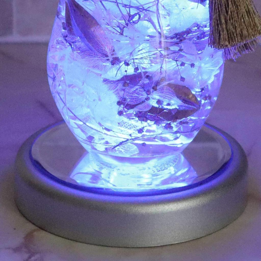 Light-up Coaster [Herbarium-Specific Round Shape (Silver) & USB Cable] Display Figure Light Stage Light Crystal Light Felinas NKLS-3SL&USB