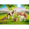 Country poneys avec poulains