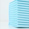 Disposable Pet Training Pads Ultra Absorbent Thickened Odor Control Dog Pee Pads