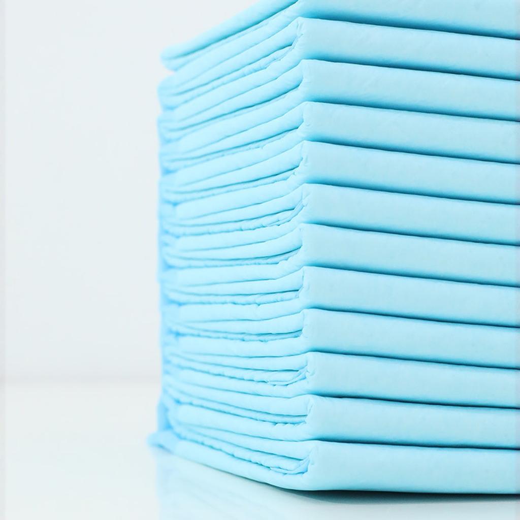 Disposable Pet Training Pads Ultra Absorbent Thickened Odor Control Dog Pee Pads
