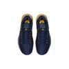 Jordan XXX1 Low Michigan 897564-425