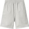 Pantalones Cortos Casuales de Color Sólido con Cordones y Parche con Logo de Corte Recto para Hombre Pantalones Cortos Plateados I030480-1YE-GD