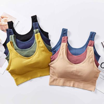 Candy Color Donna Petto avvolto Bella schiena Sport Reggiseno attivo
