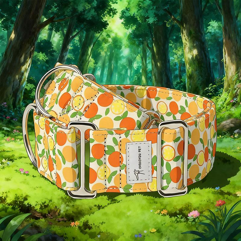

Martinagle Wide Adjustable Dog Collar, Soft Patterned Anti-Pull Collar for Medium-Sized Dogs, Polyester Fiber, Suitable for Most Pets XS（old）
