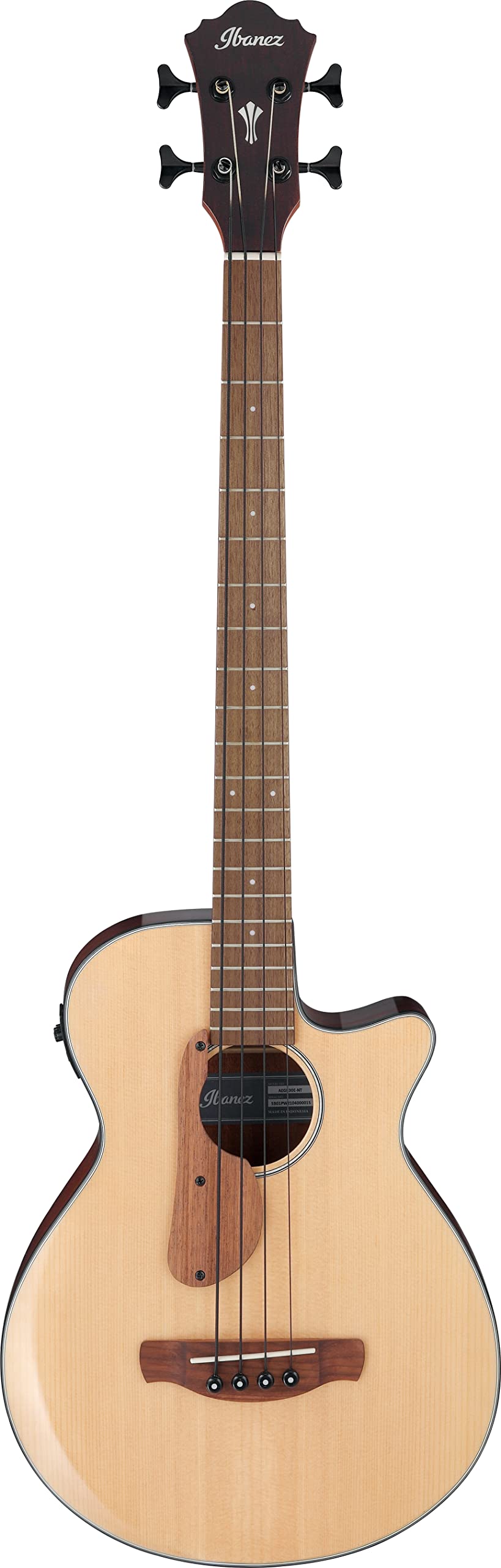 

Електроакустичний бас IBANEZ AEGB30E-NTG