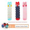 Kids' Cute Cartoon Knee-High Socks for Spring & Autumn - Mid-Tube, Long Pile Socks for Girls & Babies
