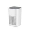 2025 USB Air Purifier: Home & Office Deodorizer