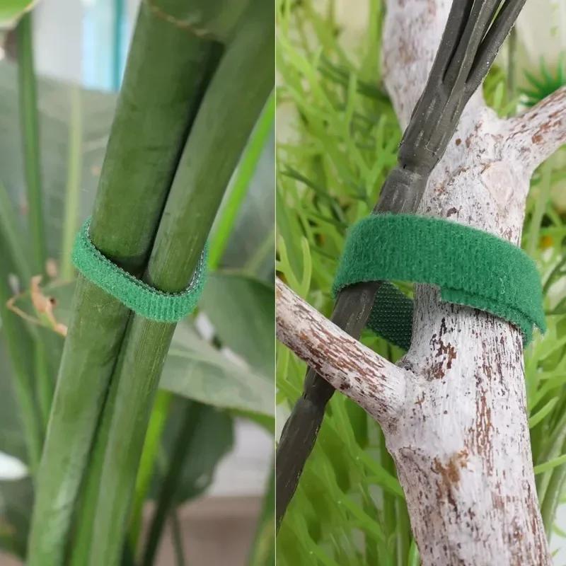 Reusable Nylon Plant Cable Ties Self Adhesive Adjustable Bandage for Support Grape Vine Tie Fastener Tape Strips Garden Supplies