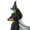 Mattel Universal Pictures A lovely deluxe Elphaba fashion doll inspired by the with removable outfit and 4 Wick movie, accessories.