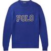 Polo Bokstavlogo Brodert Rund Hals Langermet Bomullsstrikket Genser Herre genser 710730217-004