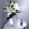 Modern Minimalist Colored Plastic Vase for Home and Dining Table Decor with Dried Flowers