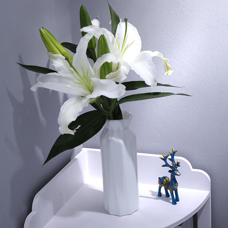 Modern Minimalist Colored Plastic Vase for Home and Dining Table Decor with Dried Flowers