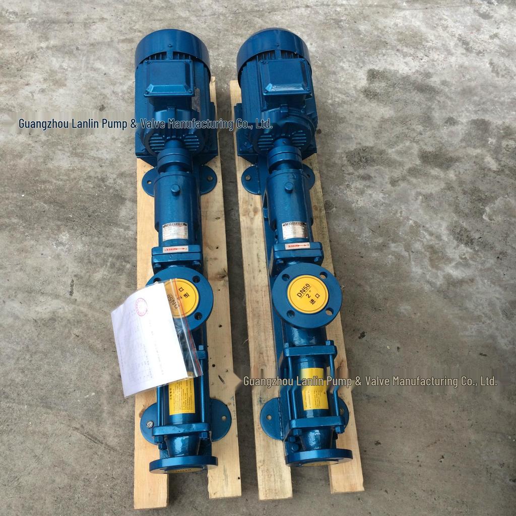 Stainless Steel Adjustable Speed Screw Pump with G30-1 Filter for Sludge Press
