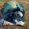 1PC peacock feathers Automatic Open/Close Umbrella Compact Folding Umbrella with 8-Rib Shaft lightweight esign, Highquality Fabric1150A