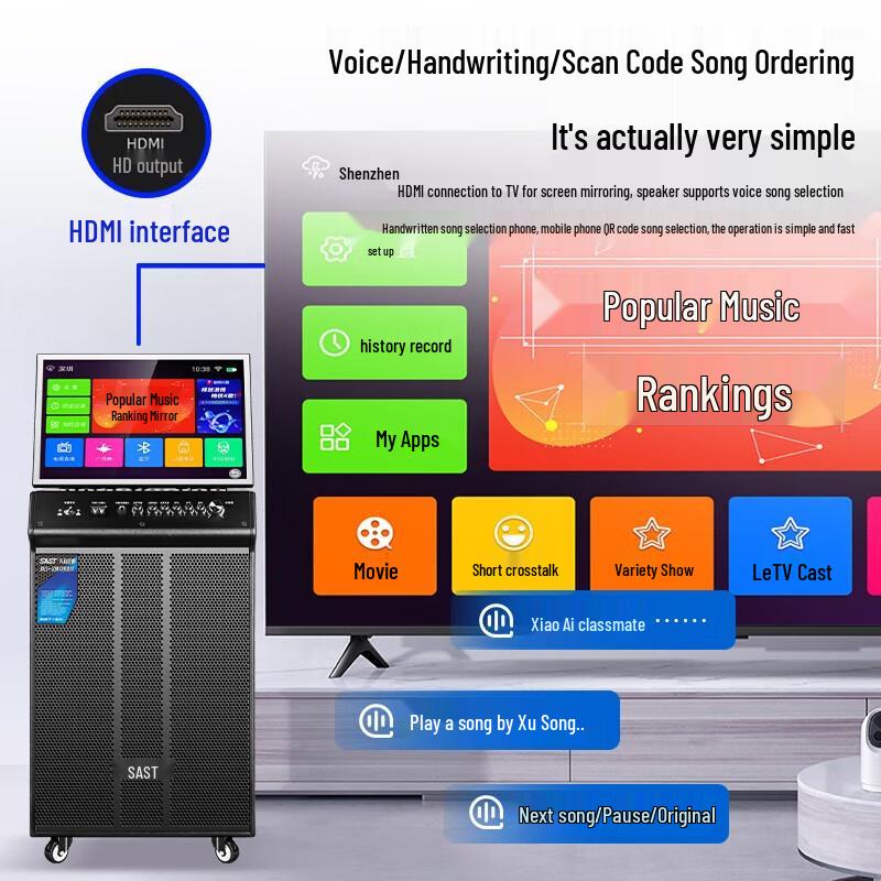 SAST WD-32 Home KTV Sound System