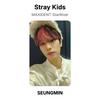 Stray Kids MAXIDENT StarRiver Official Photocard